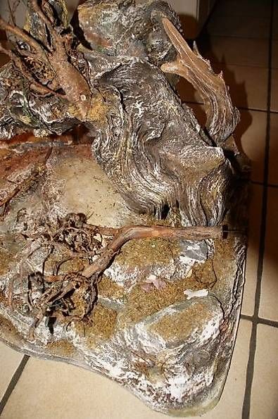 Articoli in legno: Wurzel Weihnachtskrippe handgefertigt – Nuovo (secondo la descrizione) da Bleienbach venduto da Mineral_Antik57 3