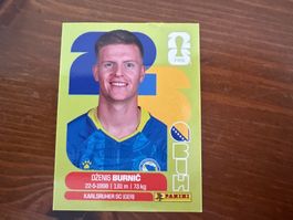 Panini BIH 14 FIFA World Cup 2026