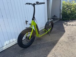 Fat Bike E-Scooter