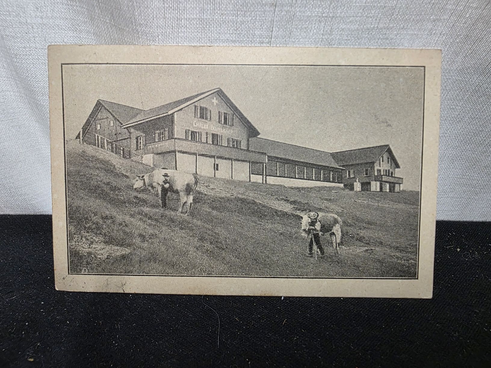 Cartoline postali: Alte Ansichtskarte: Chalet Blumisberg, Schweinsberg BE – Usato da Wolfertswil venduto da Antiko