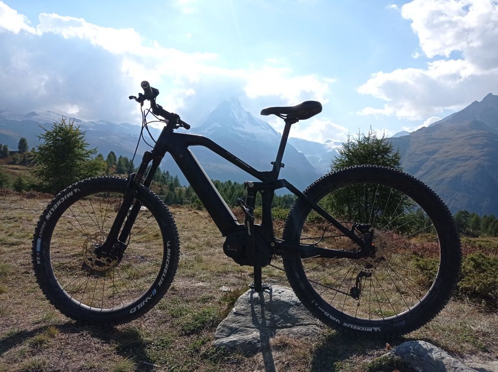 Serious bear rock online e bike