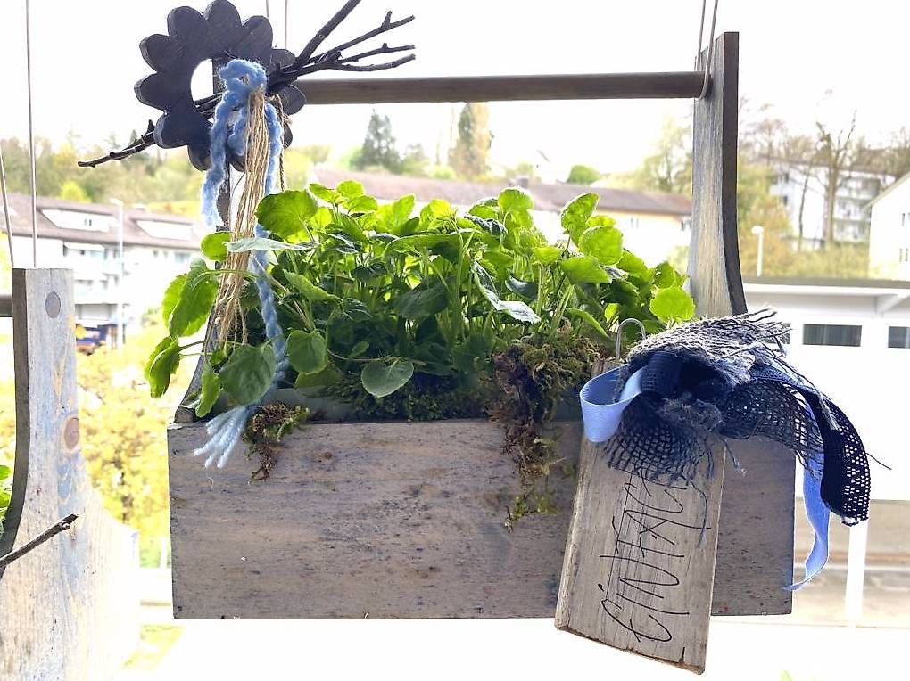 Tutti gli attrezzi: Glockenblume in der Werkzeugkiste – Usato da Frauenfeld venduto da Irene.Schuppli 3