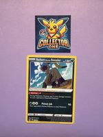 Pokemon Radiant Sneaser Shiny Rare