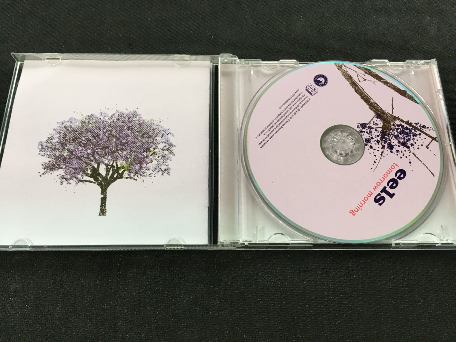 CD: Eels - Tomorrow Morning -CD- – Usato da St.Gallen venduto da MedienJoe 1