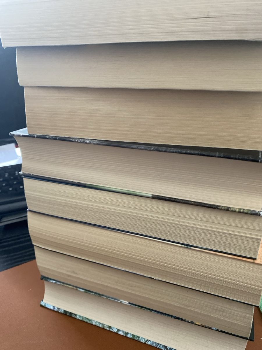 Bücher: 8 spannende Krimis und Thriller  – Gebraucht aus Erlinsbach SO von Silverstorm 3