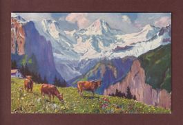 WENGERNALP bei Paolo Kutscha