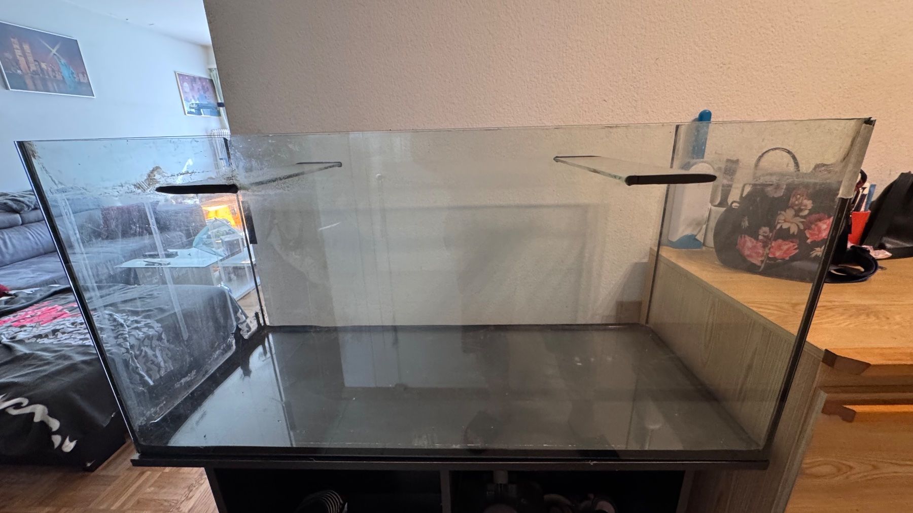 Aquarium: Aquarium – Defekt aus Vevey von Scalaires71