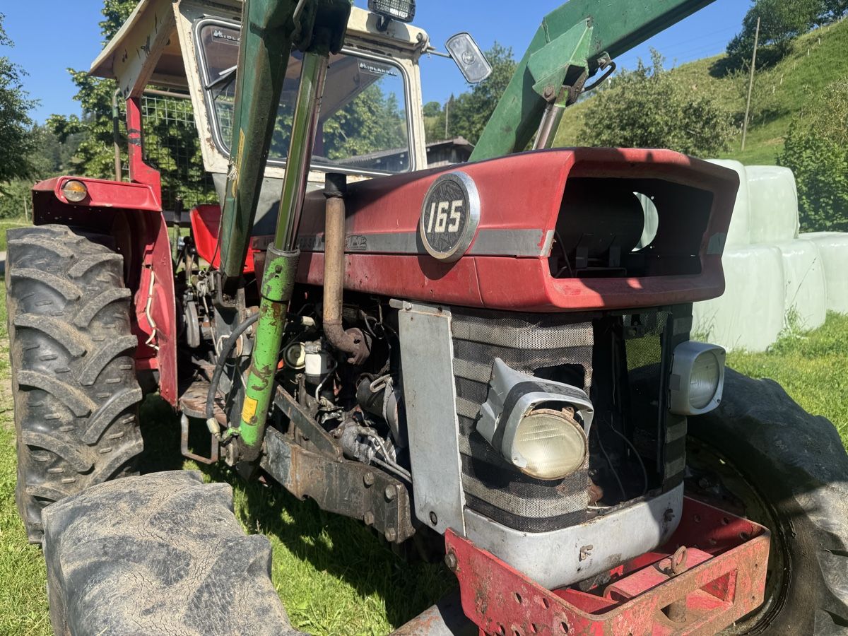 Massey Ferguson Trattori: Massey Ferguson 165 mit Frontlader und Seilwinde – Difettoso da Luthern Bad venduto da james044 5