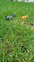Poulain Schleich 