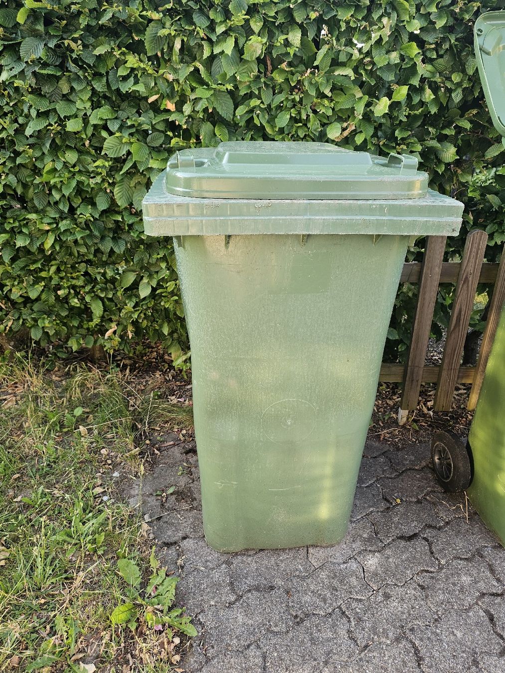 Altro per Ufficio & Commercio: Grüngutcontainer – 240L – Usato da Seuzach venduto da hwulf