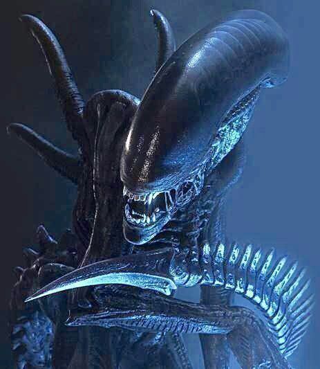 Costumi: Original Alien Kostüm Teil ‚Alien vs Predator" Giger – Usato da Schlieren venduto da Moviepropde 5