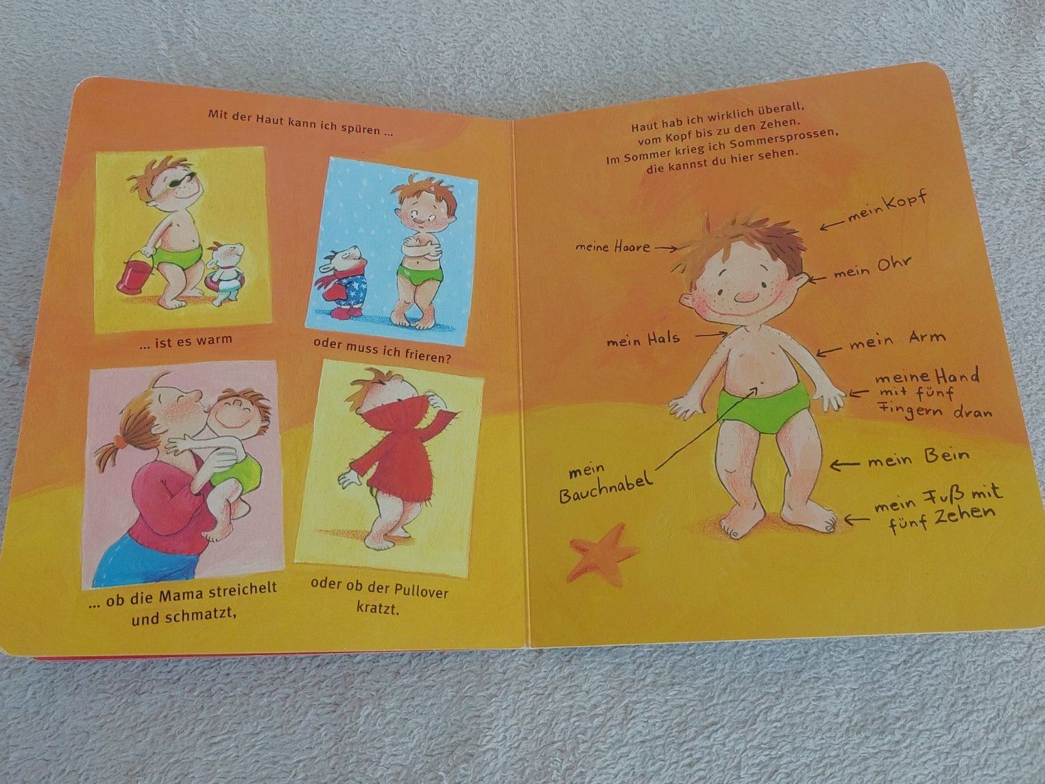 Bücher: Kinderbuch Ohren, Nase, Bauch – Gebraucht aus Strengelbach von Phorensic_30 2