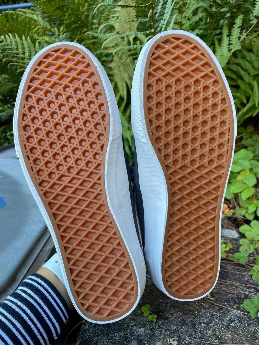 Vans Herrenschuhe: Vans Sneakers, Grösse 40.5, neu – Neu und originalverpackt aus Hochdorf von jayayoga 1