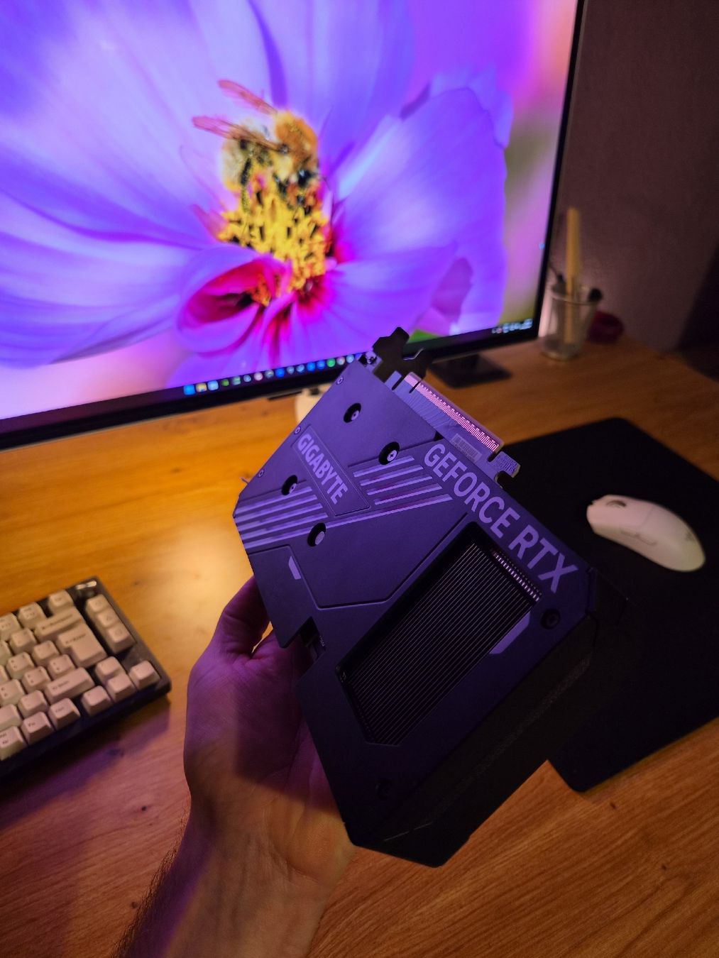 Gigabyte Grafikkarten: Gigabite RTX 5060ti 8gb Windforce OC – Gebraucht aus Ittigen von Jorhody 2