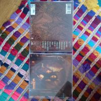 Death angel- fall...