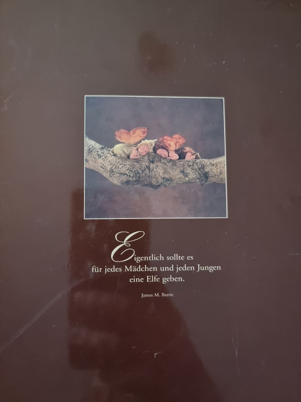 Bücher: Anne Geddes - Gedanken der Liebe – Neu (gemäss Beschreibung) aus Luzern von Luzern_Energy 1