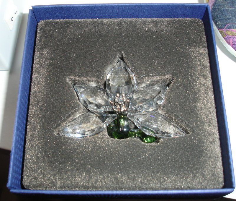 Swarovski Statuette: SWAROVSKI ORCHIDEE – Nuovo e nell'imballaggio originale da Oberentfelden venduto da Gipsy27 3