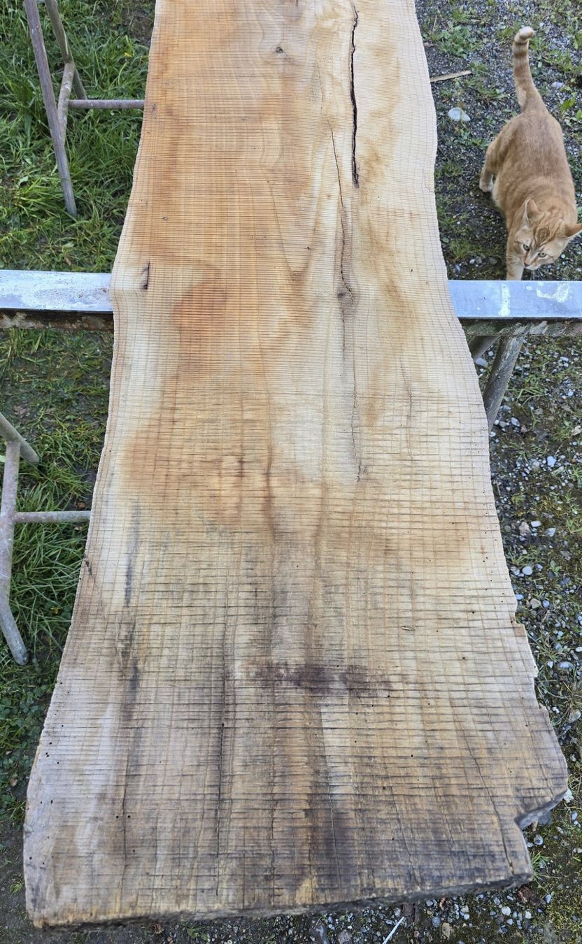 Holzartikel: Altes Holzbrett  – Gebraucht aus Rorschacherberg von snOOpydOg11 1