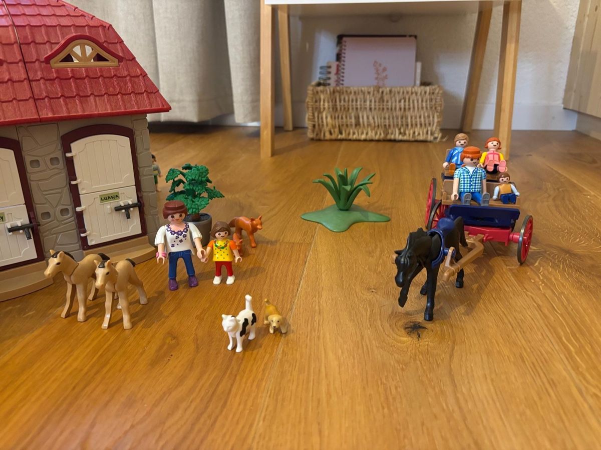 Playmobil Giocattoli: Playmobil Reiterhof – Usato da Bubikon venduto da petraruoss 7