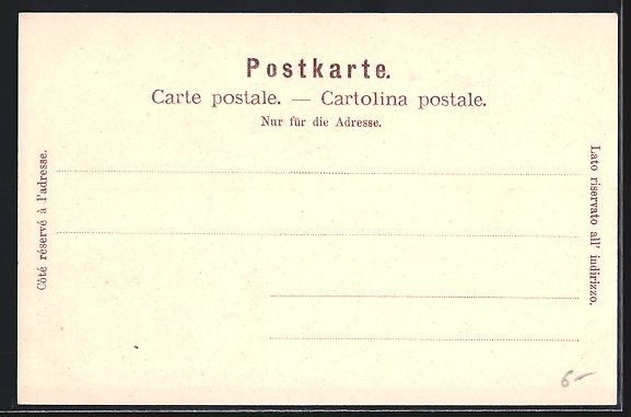 Cartoline postali: AK Lausanne, Teilansicht mit Festung – Usato da Berlin venduto da bartko-reher 1