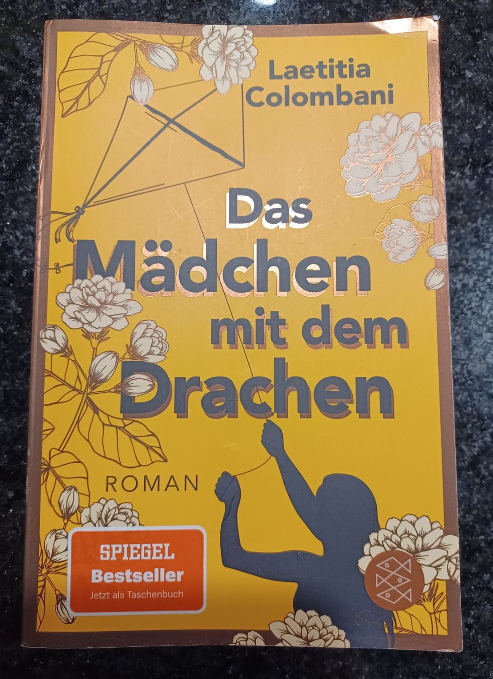 Libri: Buch: das Mädchen mit dem Drachen – Usato da Seewen SZ venduto da Herakles5