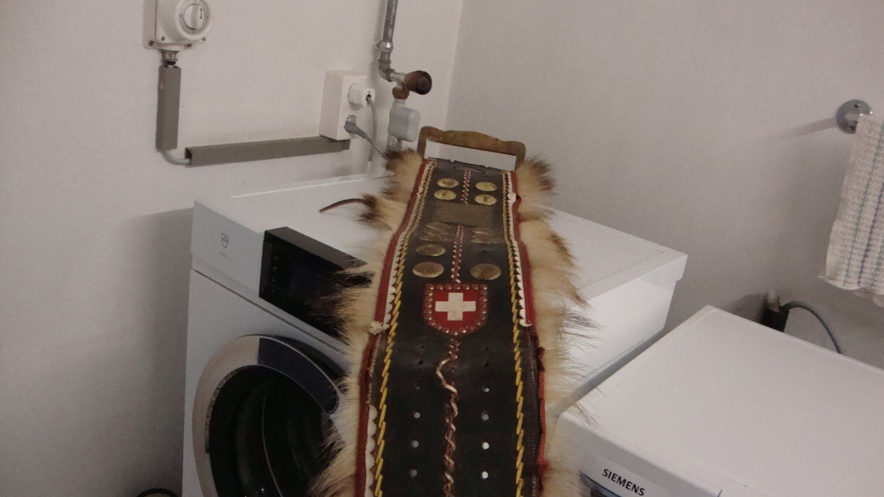 Campanacci mucche: Riemen – Usato da Muotathal venduto da Housi023 1