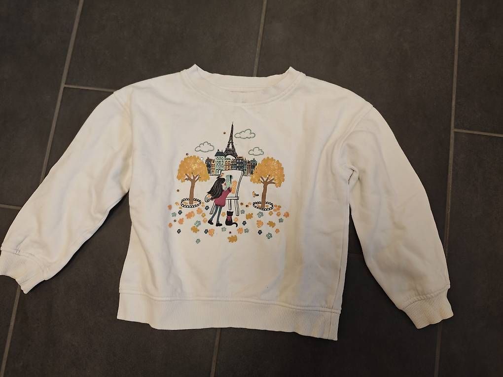 Pullover & Sweatshirts: Pullover 110/116 – Gebraucht aus Untersiggenthal von schnaegg8542