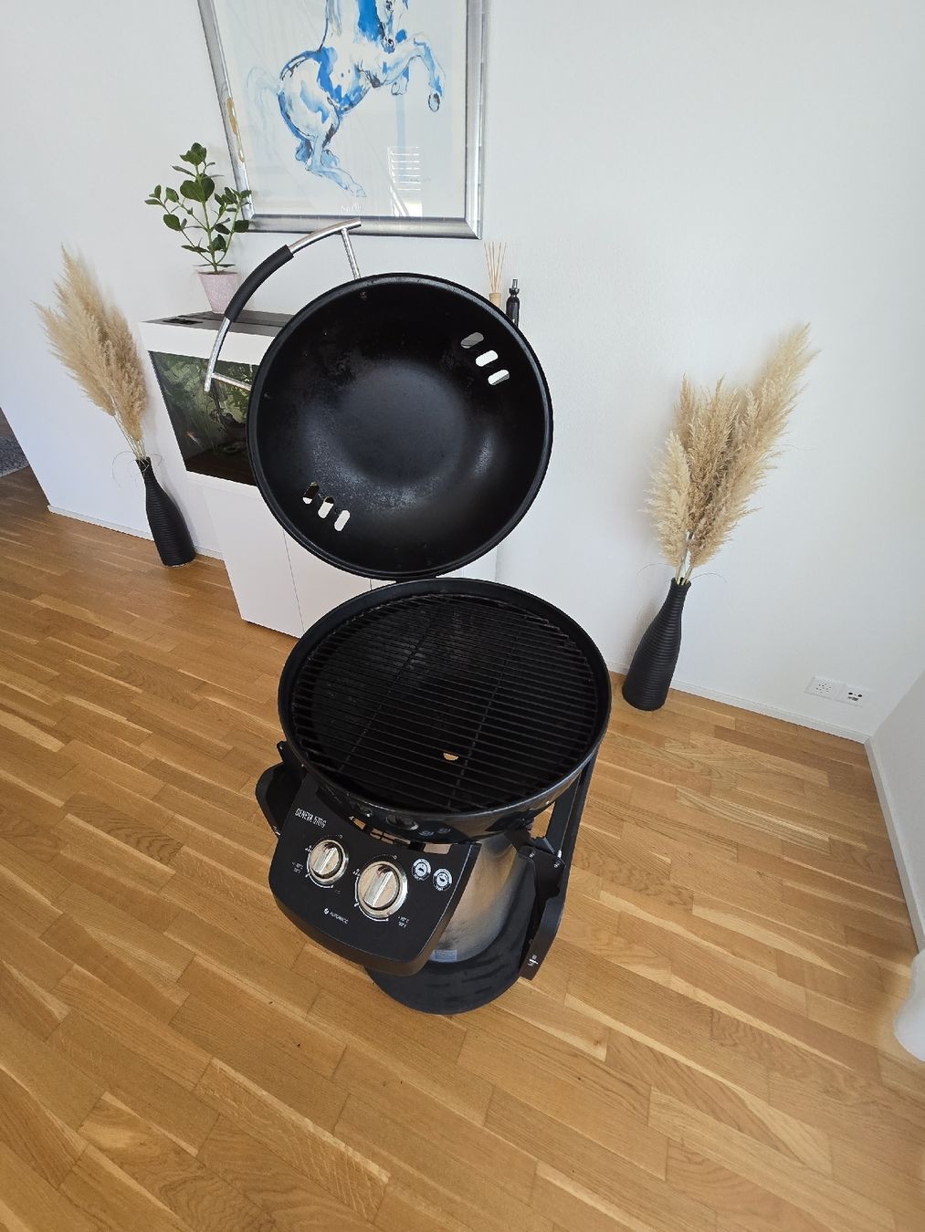 Griglie: Grill Outdoorchef Geneva 570G – Usato da Niederbipp venduto da Tiffany1771 4