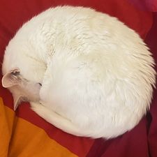 Profile image of emm_2nwx