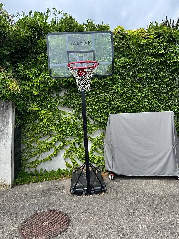 Basketballkörbe: Basketballkorb  – Gebraucht aus Wohlen bei Bern von stefanhonegger