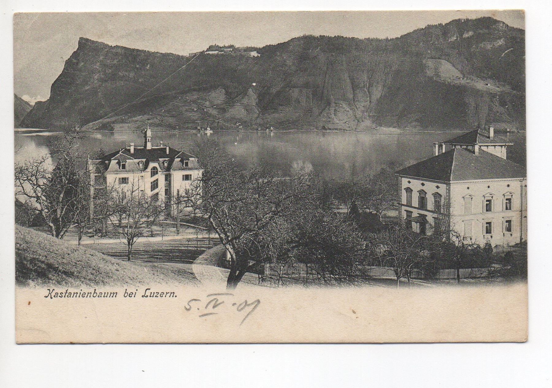 Cartes postales: KASTANIENBAUM bei Luzern – D'occasion à Jona par philajona