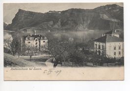 KASTANIENBAUM bei Luzern
