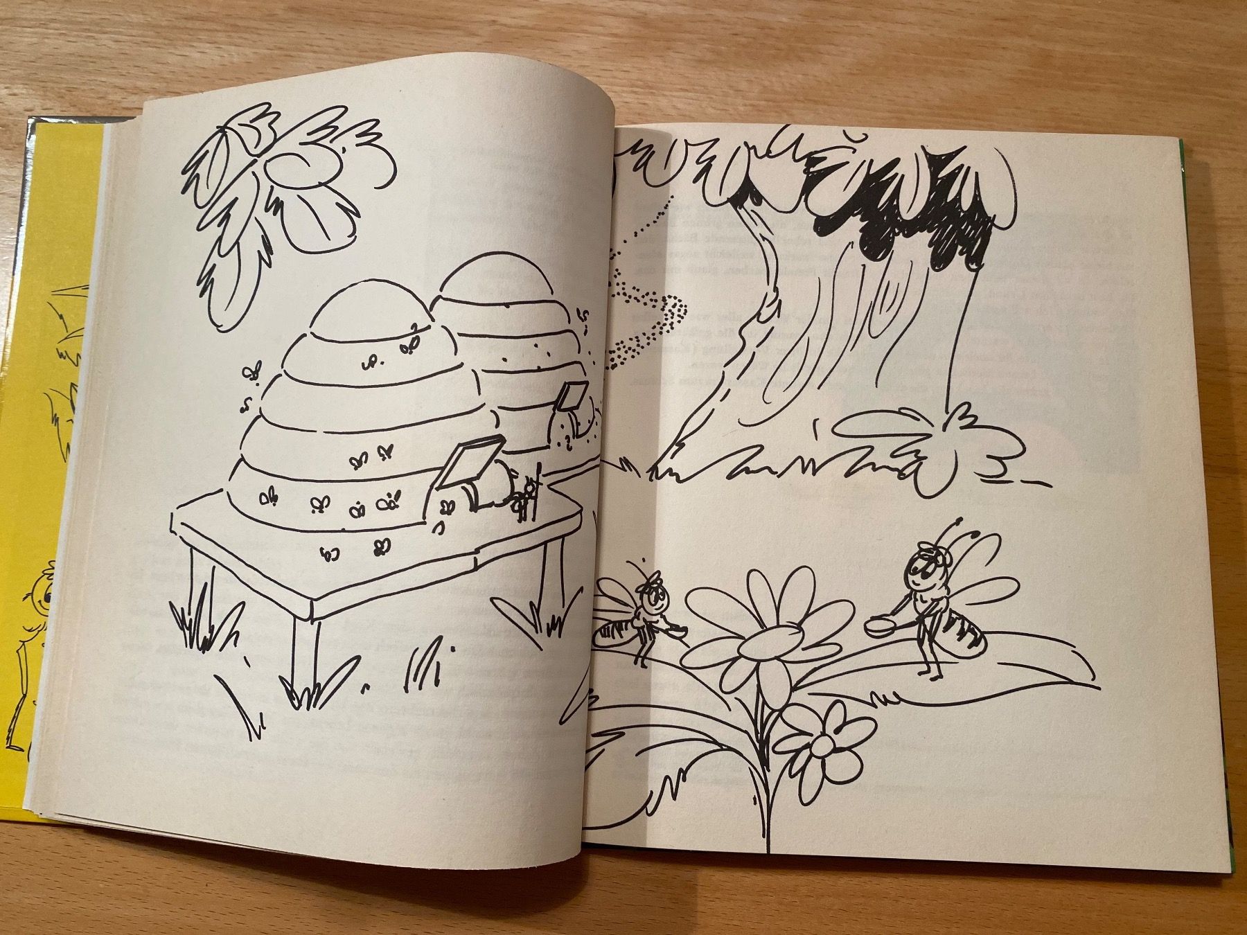 Libri: Die Biene Maja - Margret Mellert/Bernhard Meyer 1972 – Usato da Schwarzenburg venduto da Michellu 6