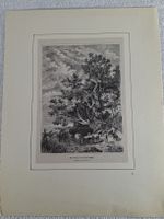 Lot 26, 5 Stiche