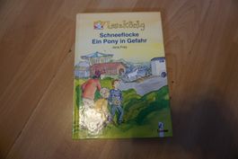 Lesekönig Schneeflocke in Gefahr, bemalt