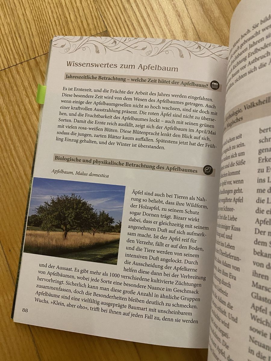 Bücher: Der heilige Baumkreis der Kelten – Neu (gemäss Beschreibung) aus Klingnau von Cathlight 2