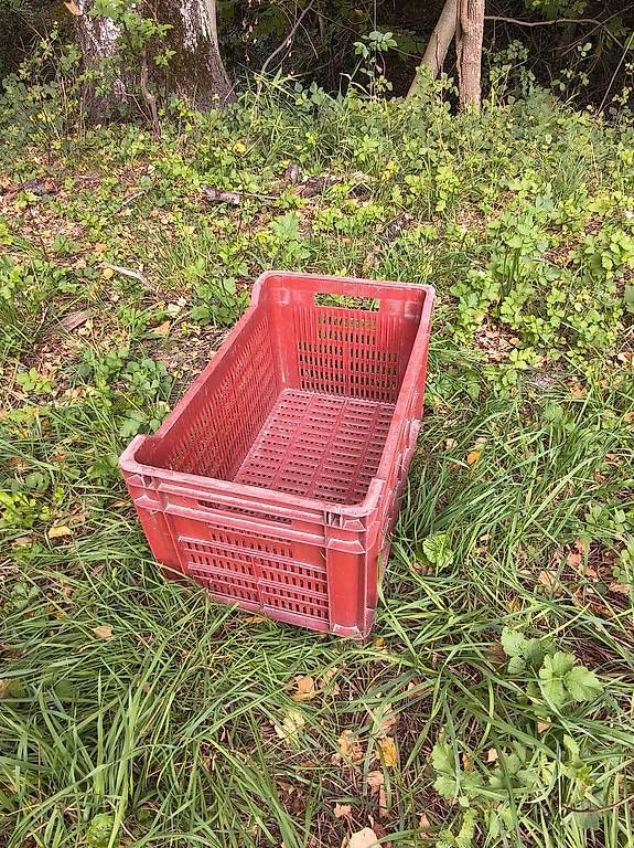 Casse di trasporto: Gemüsekiste/Spargelkiste – Usato da Sevelen venduto da sei_qd8q