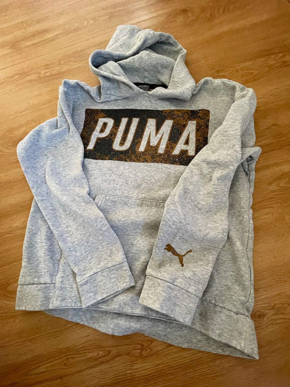Puma Pullover & Sweatshirts: Sweat à capuche Puma gris – Gebraucht aus Buttes von ste_29gf