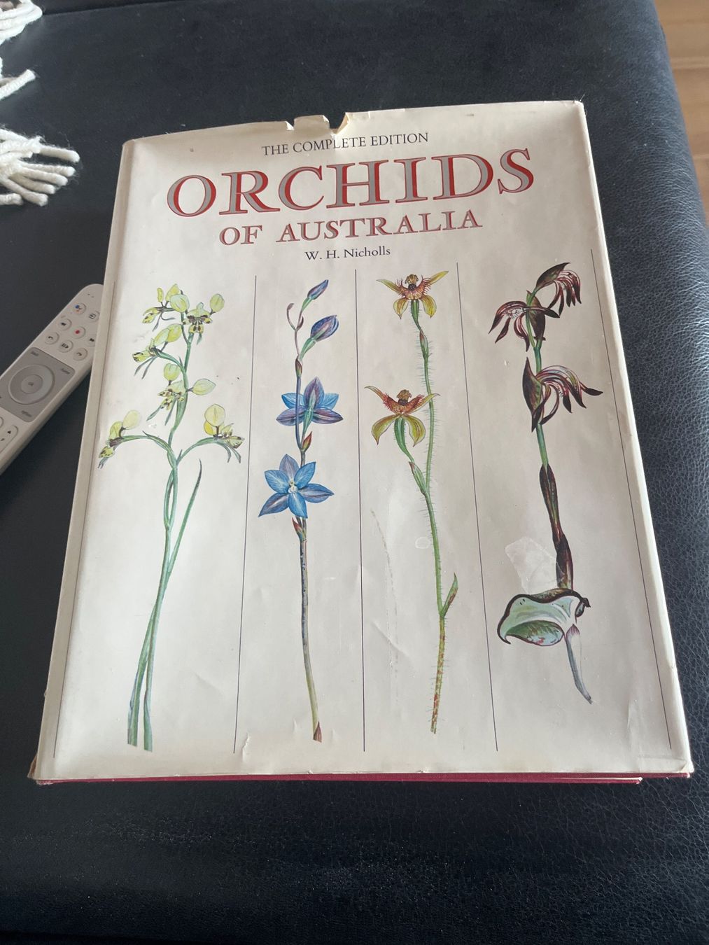 Libri: Antikes Buch: Orchideen Australiens, Komplettausgabe – Usato da Ettingen venduto da bri_6bhw