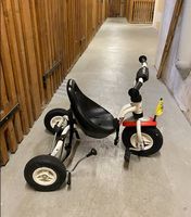 Puky Dreirad Schiebefahrzeug inkl. Puky Sicherheitsgurt