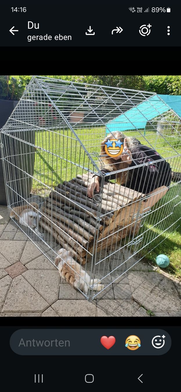 Käfige, Transport & Sicherheit: Tiergehäge – Gebraucht aus Affoltern am Albis von zuf_m9zg