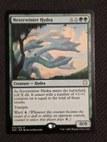 Neverwinter Hydra -  MTG