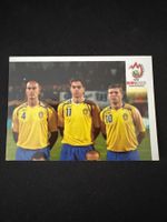 Panini UEFA EM 2008 Sticker - Nr. 386