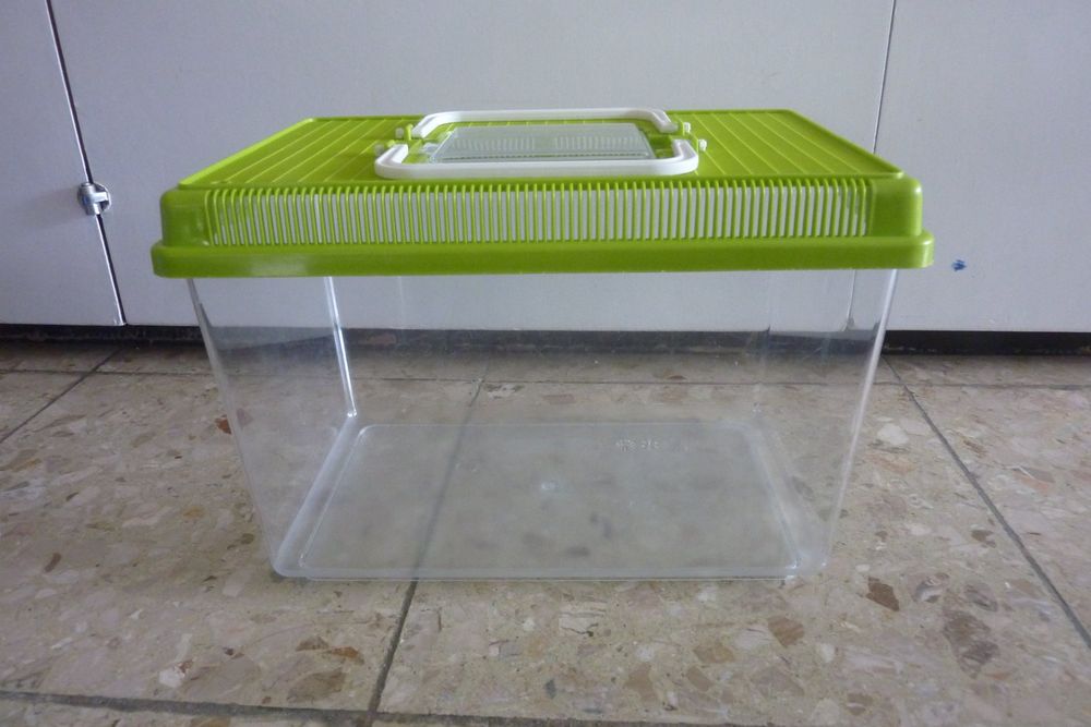 Transportkiste Für Hühner - 100x50x40cm 5 Fächer Aus Sperrholz