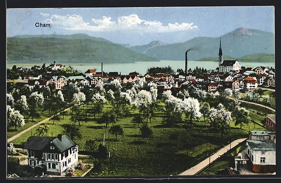 Cartes postales: AK Cham, Generalansicht der Stadt – D'occasion à Berlin par bartko-reher