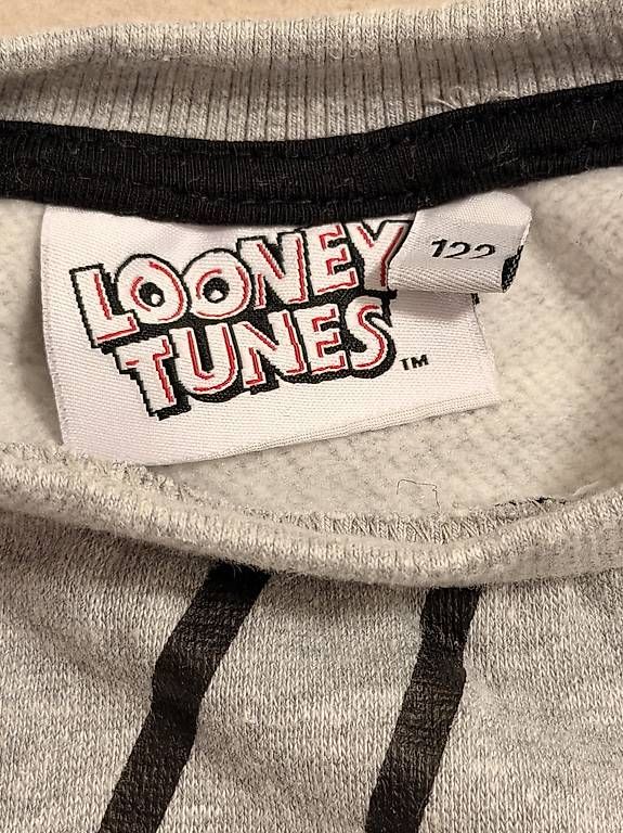Maglioni & Felpe: Looney Tunes Pullover, 122, top Zustand – Usato da Wilen b. Wil venduto da carpediem25 2