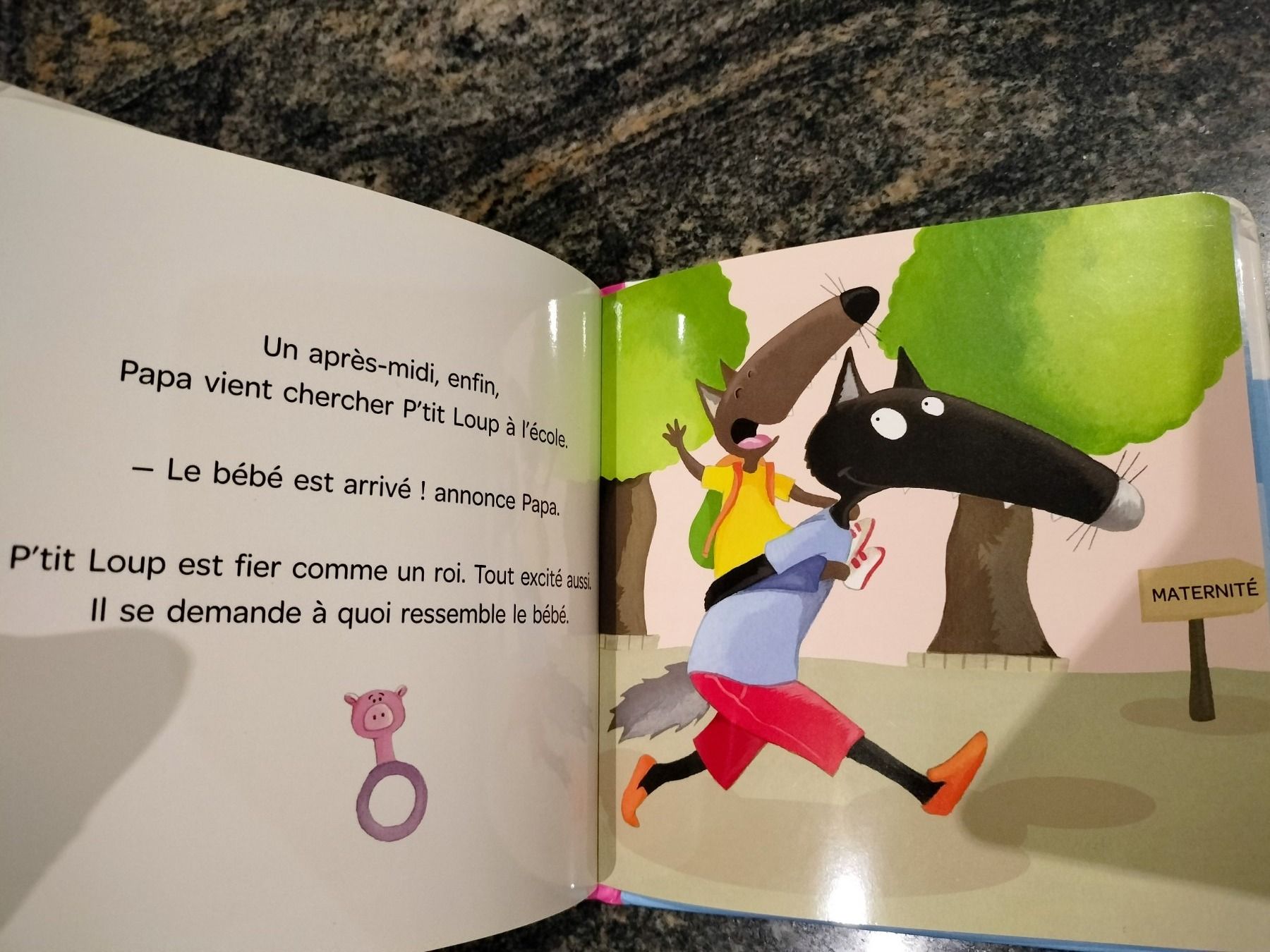 Livres: P'tit Loup devient grand frère – D'occasion à Cortaillod par rozinna 9