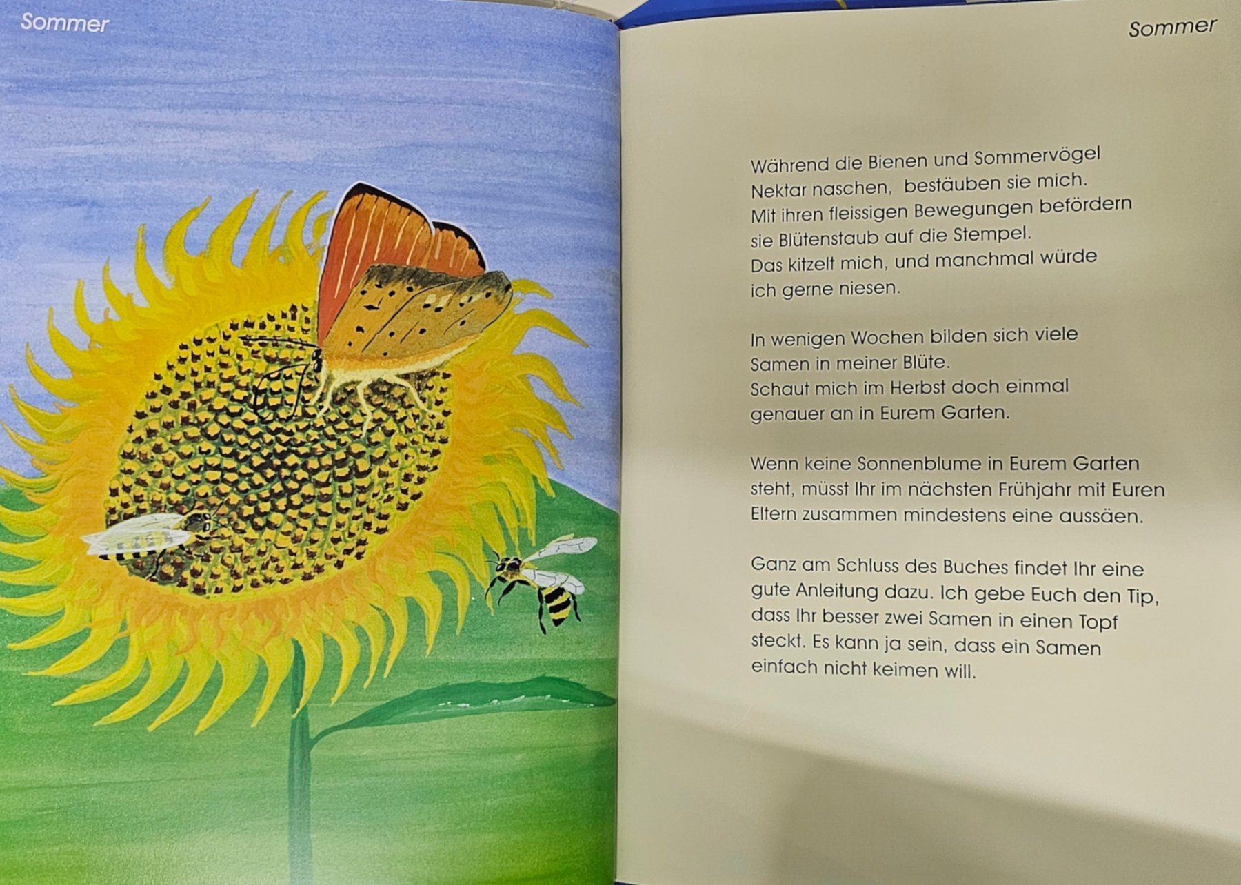 Bücher: Kinderbuch – Neu und originalverpackt aus Walenstadt von pedroju-1 2