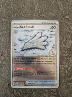 Sail Fossil POR EN 069/088