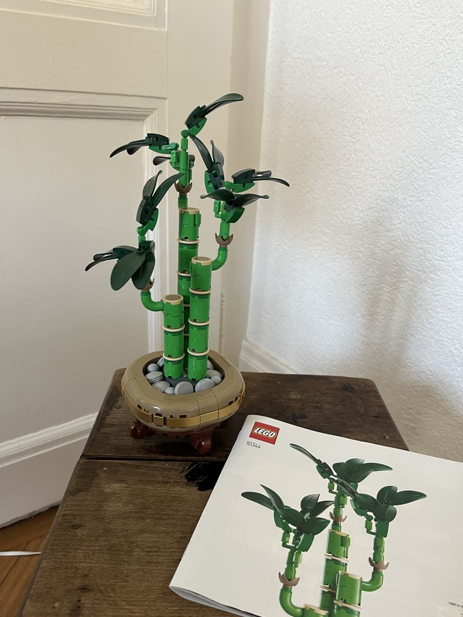 Lego Baukästen: Lego Botanicals, Lucky bamboo, réf. 10344 – Neu (gemäss Beschreibung) aus Lausanne von Matmahon1